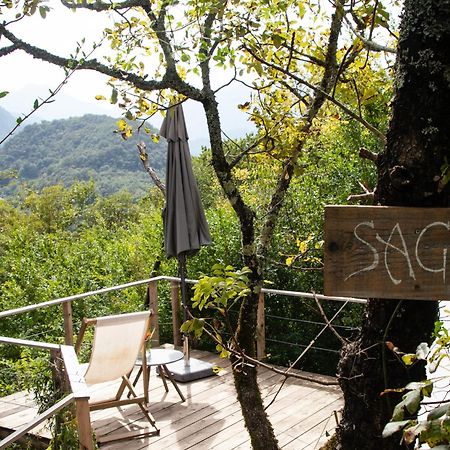 Hoopoe Glamping Hotel Virpazar Eksteriør billede