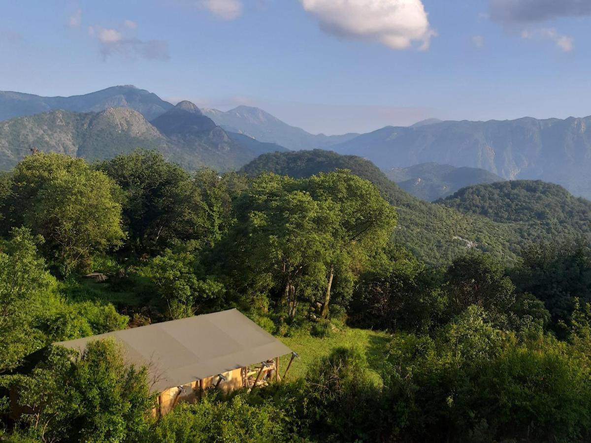 Hoopoe Glamping Hotel Virpazar Eksteriør billede